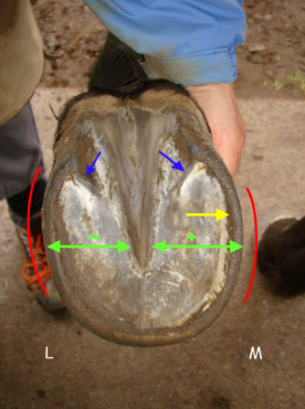 gallery/bild homepage (2)